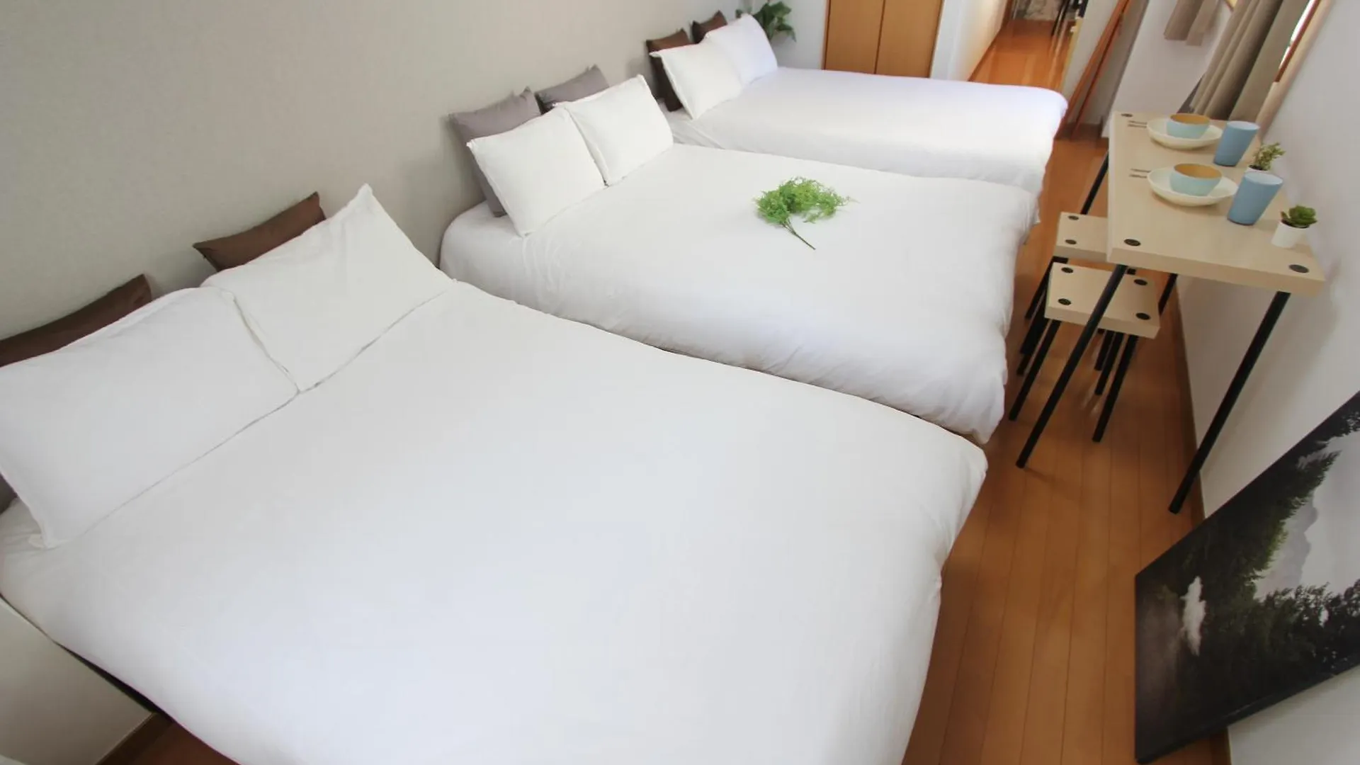 Apartmán Luana In Nishiki Prefektura Tokio 0*,