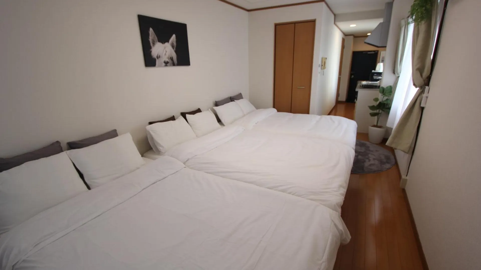 Apartmán Luana In Nishiki Prefektura Tokio Japonsko