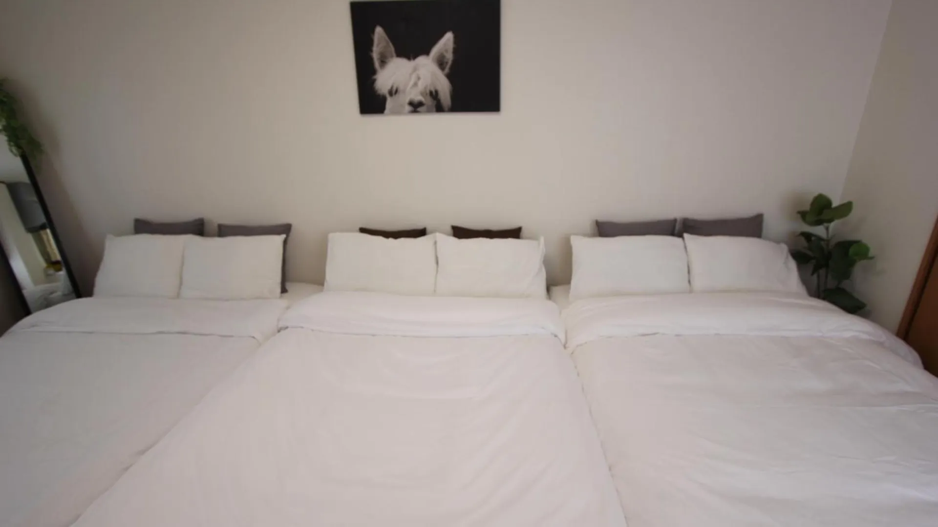 Apartmán Luana In Nishiki Prefektura Tokio 0*,